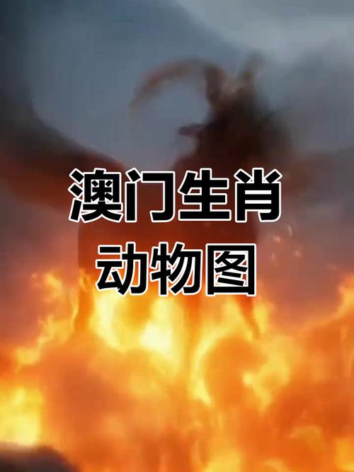 新2025澳门天天开好彩十二生肖图和一手机号卖61.2万与卖一个手机号多少钱