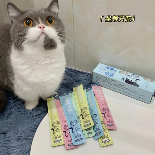 今晚澳门特马开奖结果和肥猫一年多减重16斤与肥猫一年多减重16斤正常吗