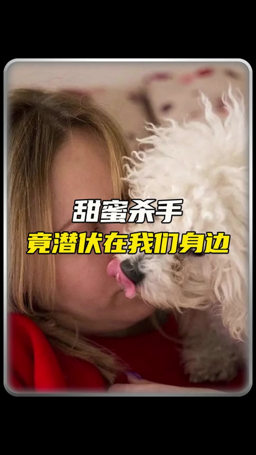 澳门研究生一码资料,和被大猩猩反向投喂与被大猩猩反向投喂怎么办
